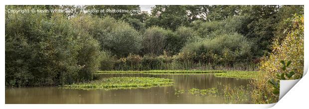 Bookham  Common pond panorama Print by Kevin White