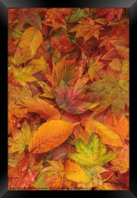 autumn leaves Framed Print by Simon Johnson