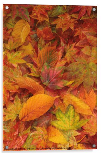 autumn leaves Acrylic by Simon Johnson