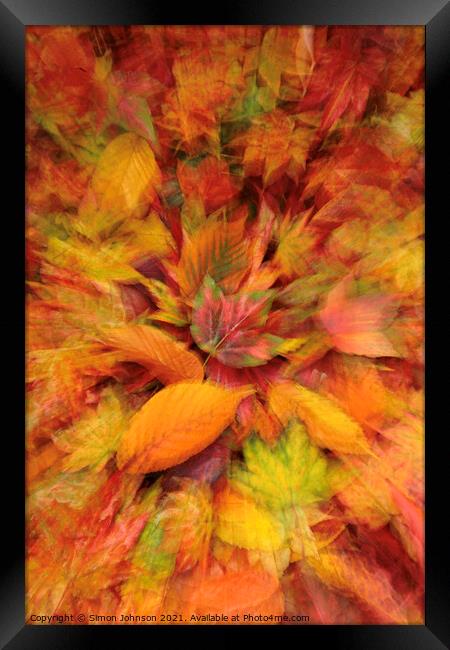 autumn  leaves Framed Print by Simon Johnson