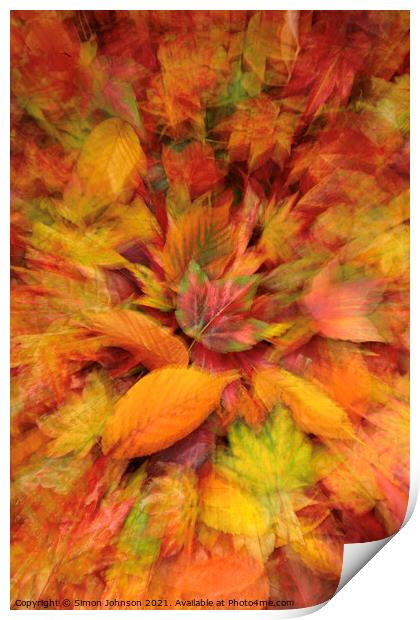 autumn  leaves Print by Simon Johnson