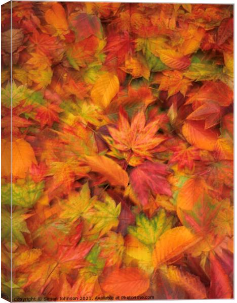 Autumn leaves Canvas Print by Simon Johnson