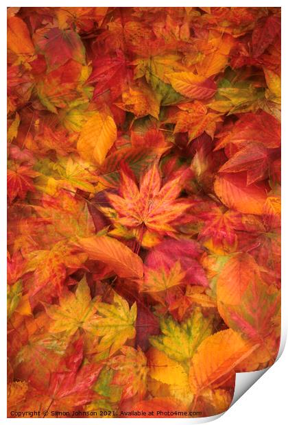 autumn leaves Print by Simon Johnson