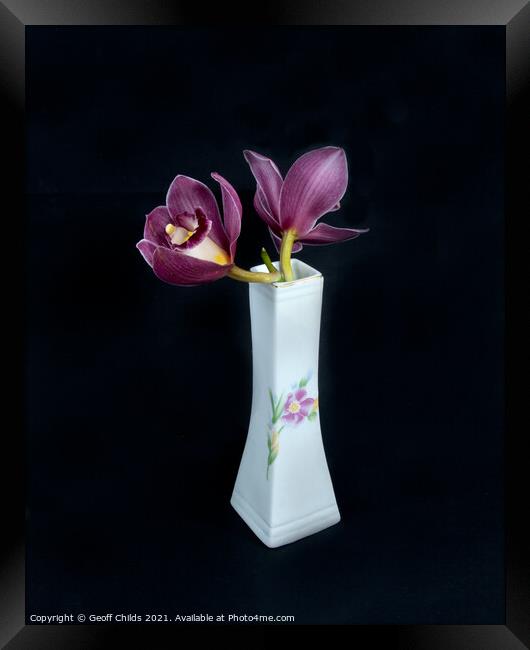  Pretty pink Cymbidium Orchid in a Vase on black. Framed Print by Geoff Childs