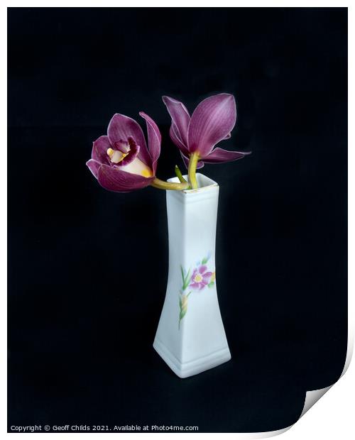  Pretty pink Cymbidium Orchid in a Vase on black. Print by Geoff Childs