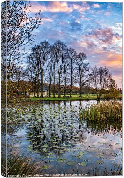 Reflections and Lilies on the Pond Canvas Print by Dave Williams
