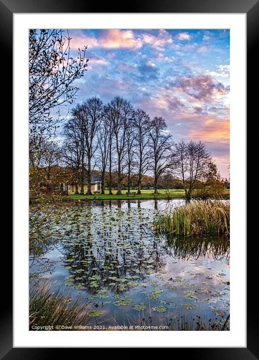 Reflections and Lilies on the Pond Framed Mounted Print by Dave Williams