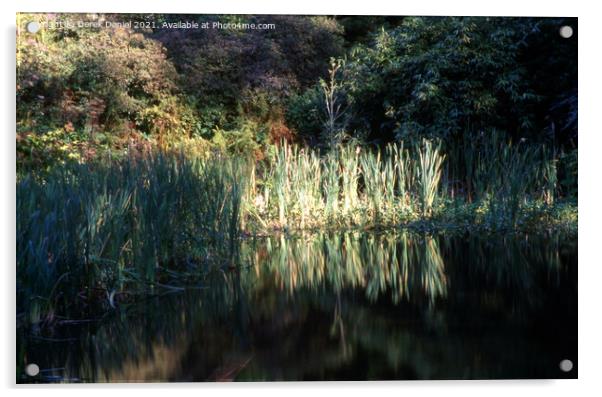 Rustling Reeds in Autumn Acrylic by Derek Daniel