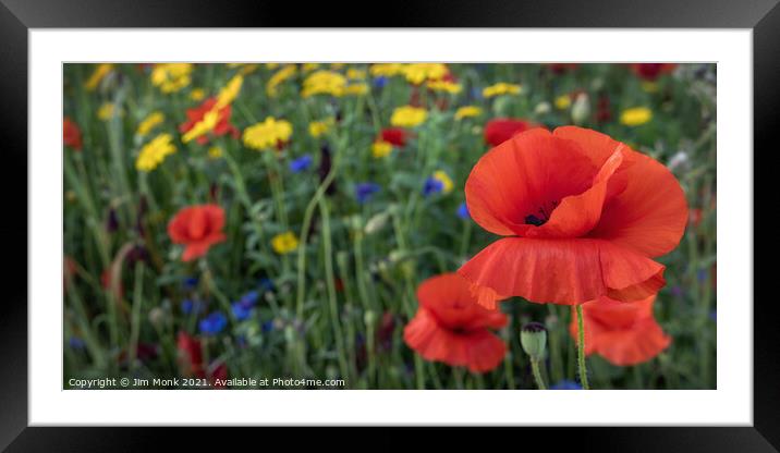 Poppies and Wild Flowers Framed Mounted Print by Jim Monk