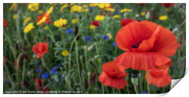 Poppies and Wild Flowers Print by Jim Monk