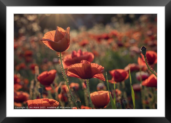 Poppies Framed Mounted Print by Jim Monk