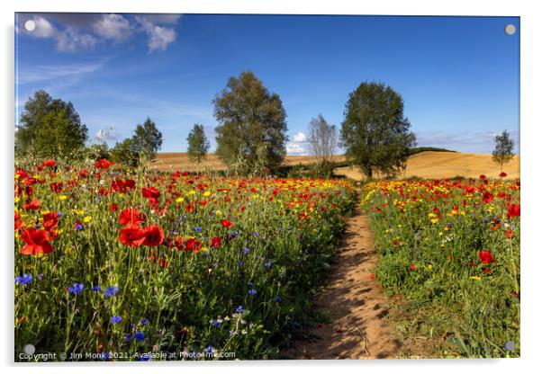 Wildflower Path Acrylic by Jim Monk