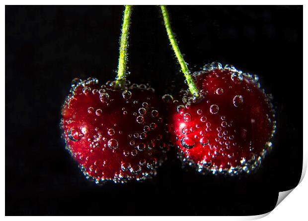 Fizzy cherries Print by Fiona Etkin