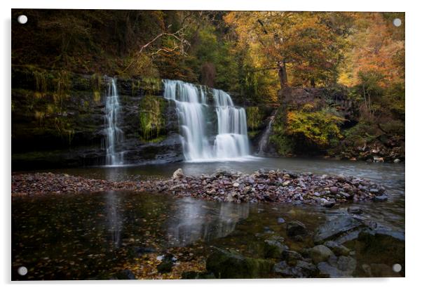 Autumn at Waterfall country Acrylic by Leighton Collins