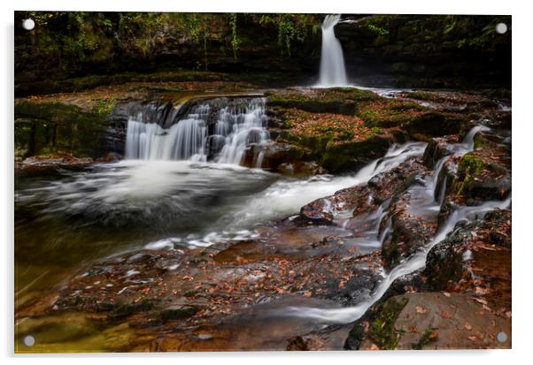 Cascades at Waterfall Country Acrylic by Leighton Collins