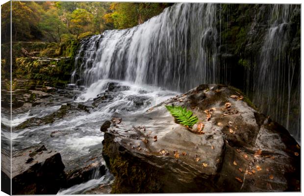 Rock, fern and waterfall Canvas Print by Leighton Collins