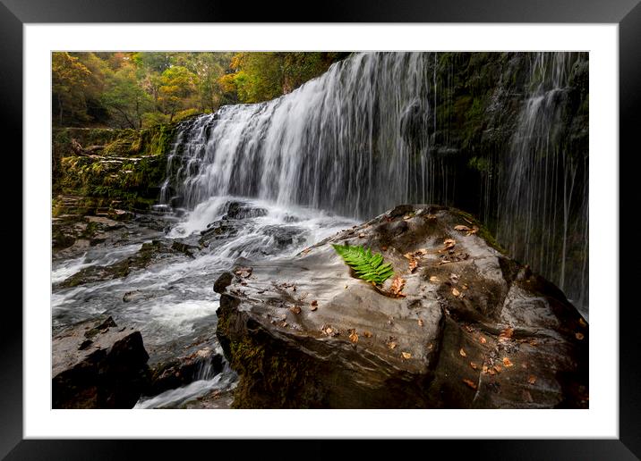 Rock, fern and waterfall Framed Mounted Print by Leighton Collins