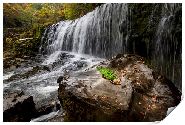 Rock, fern and waterfall Print by Leighton Collins