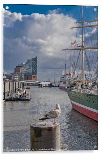 Hamburg Elb harbor with seagulls, Germany Acrylic by Frank Bach