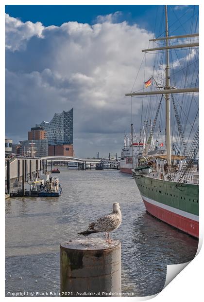 Hamburg Elb harbor with seagulls, Germany Print by Frank Bach
