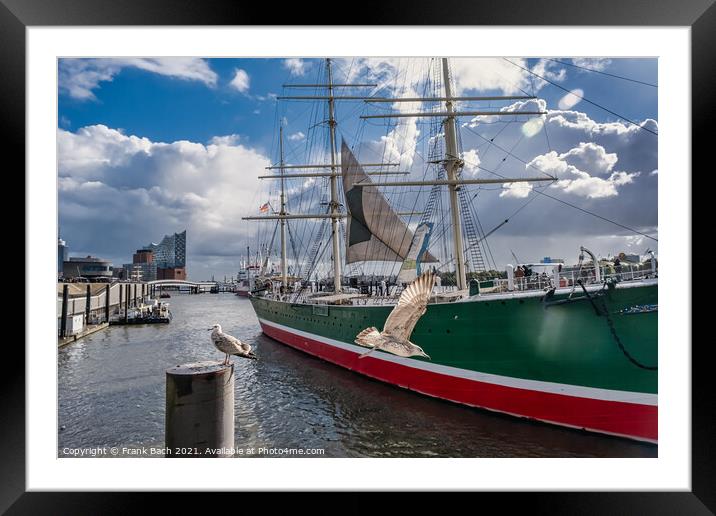 Hamburg Elb harbor with seagulls, Germany Framed Mounted Print by Frank Bach