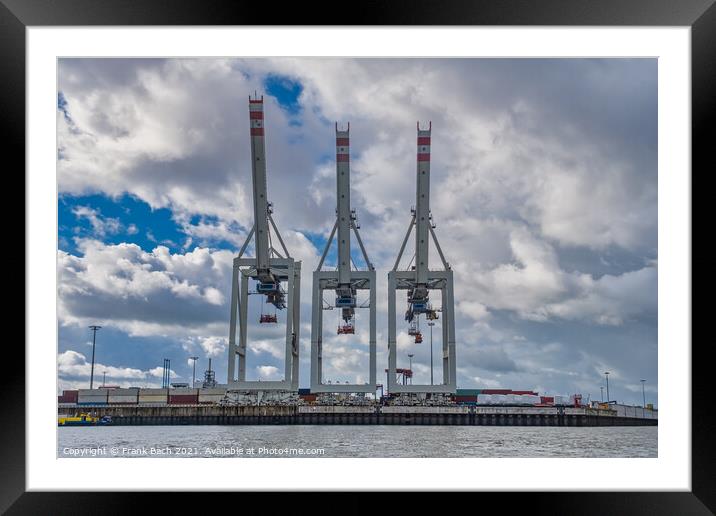 Container cranes in Hamburg harbor, Germany Framed Mounted Print by Frank Bach