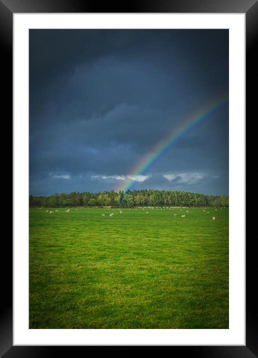 Rainbow Field  Framed Mounted Print by Jonny Gios