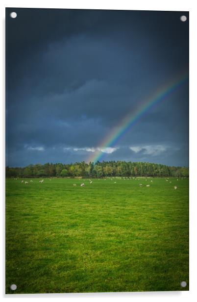 Rainbow Field  Acrylic by Jonny Gios