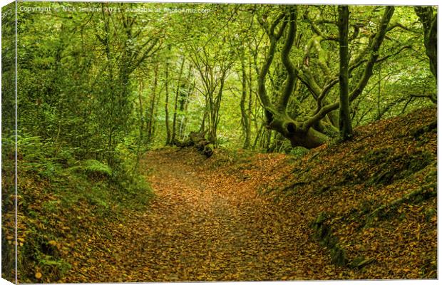 Early Autumn at Tyn y Coed Woods Cardiff  Canvas Print by Nick Jenkins