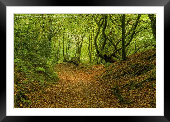 Early Autumn at Tyn y Coed Woods Cardiff  Framed Mounted Print by Nick Jenkins