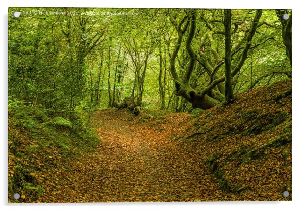 Early Autumn at Tyn y Coed Woods Cardiff  Acrylic by Nick Jenkins