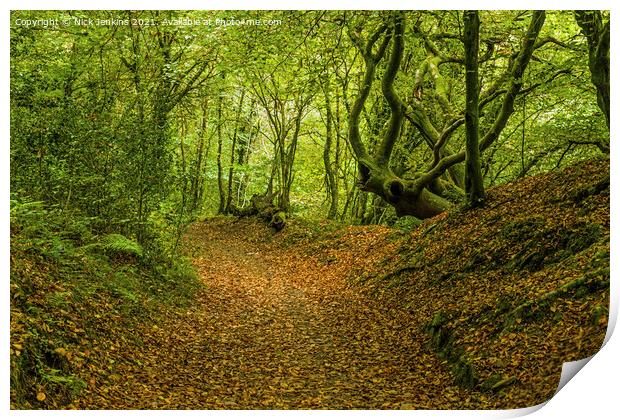 Early Autumn at Tyn y Coed Woods Cardiff  Print by Nick Jenkins