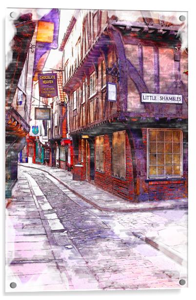 Little Shambles - Sketch Acrylic by Picture Wizard