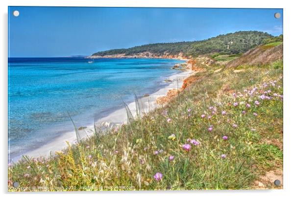 Menorca Beach Acrylic by Philip Gough
