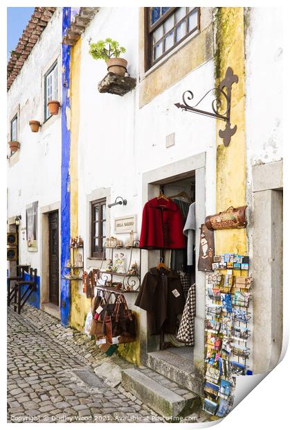 Charming Souvenir Shop in Obidos Print by Dudley Wood