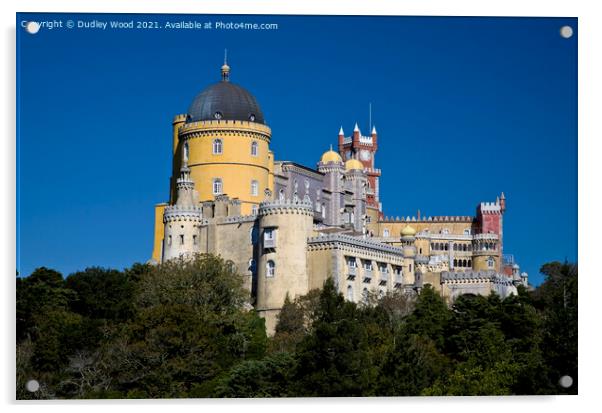 Majestic Pena Palace Acrylic by Dudley Wood