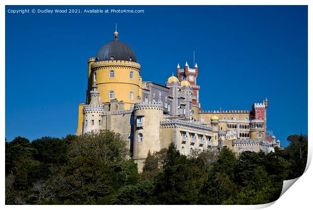 Majestic Pena Palace Print by Dudley Wood