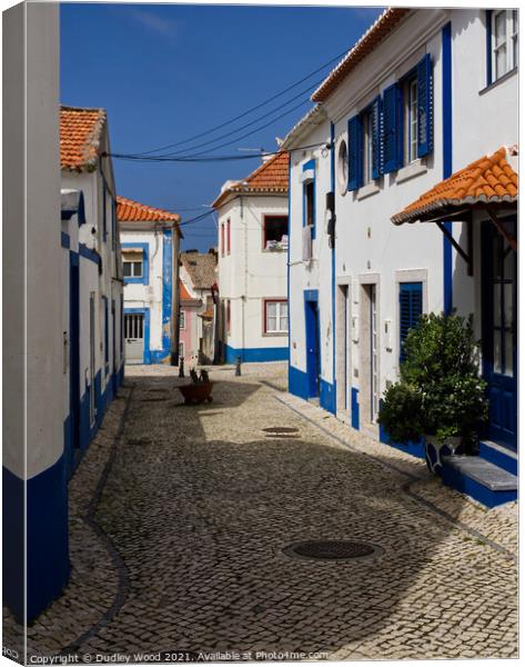 Charming Ericeira Backstreet Canvas Print by Dudley Wood