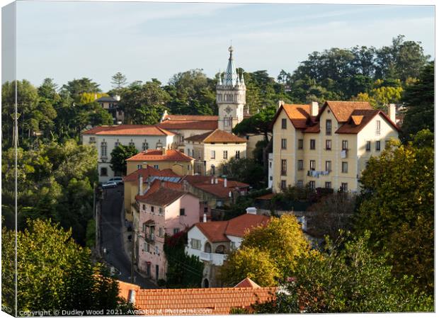 Sintra Town Hall Canvas Print by Dudley Wood