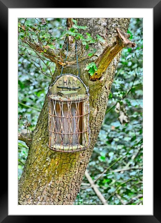 Feeding box in the woods. Framed Mounted Print by Philip Gough