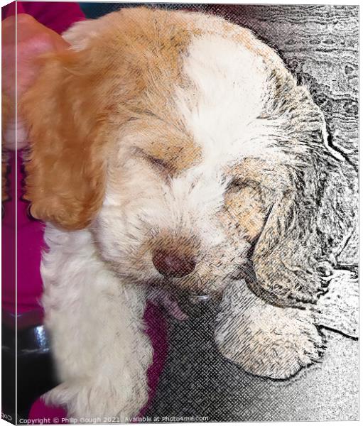 Tired Puppy Canvas Print by Philip Gough