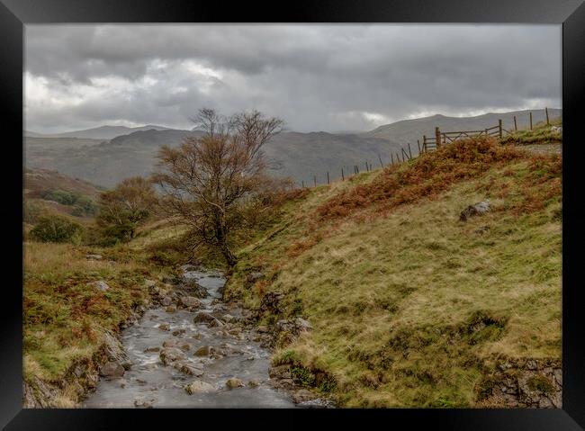 Lake District Framed Print by Robbie Spencer