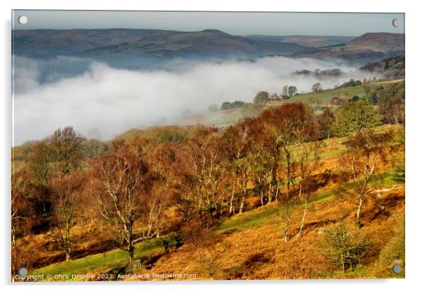 Mist inversion in the Derwent Valley Acrylic by Chris Drabble