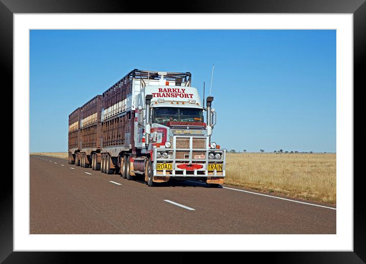 Livestock Road Train, Australia Framed Mounted Print by Arterra 