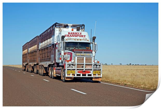 Livestock Road Train, Australia Print by Arterra 