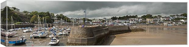 A Panoramic View of Saundersfoot Harbour Canvas Print by Steve Purnell