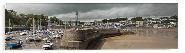 A Panoramic View of Saundersfoot Harbour Acrylic by Steve Purnell
