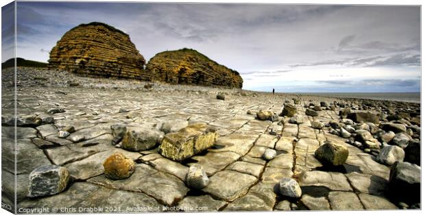 Rhoose Point and Cliffs Canvas Print by Chris Drabble
