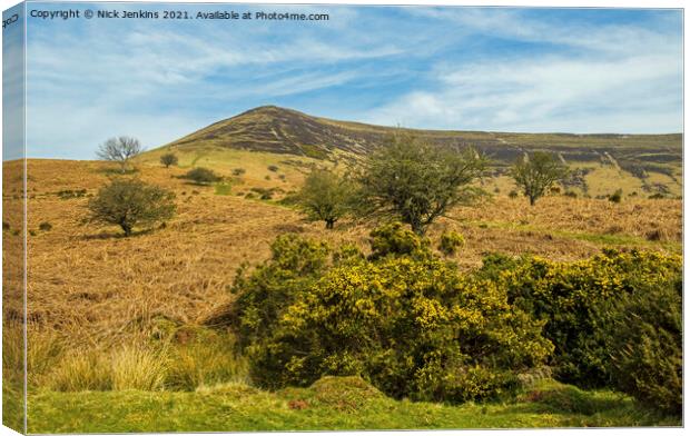 Mynydd Troed in the Eastern Brecon Beacons Nationa Canvas Print by Nick Jenkins
