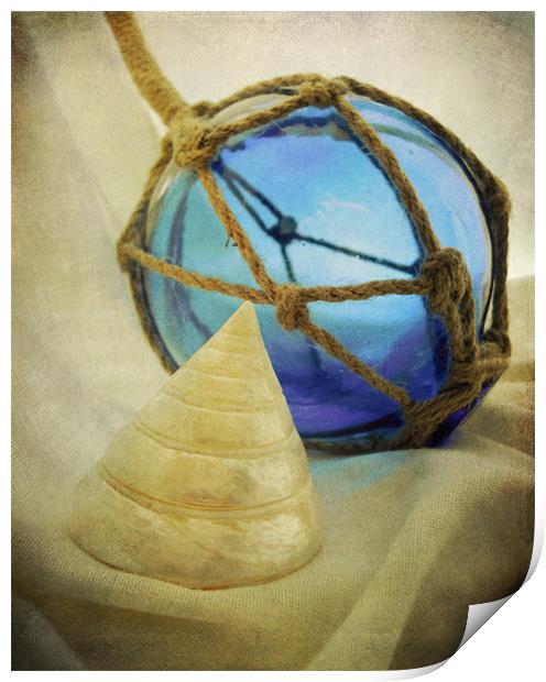 blue glass and seashell Print by Heather Newton